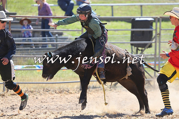 MossVale2015_2185