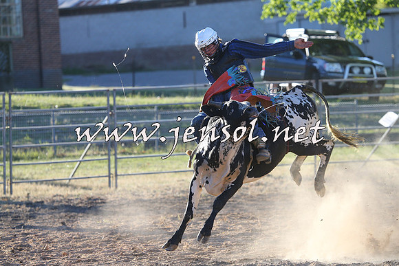 MossVale2015_2704