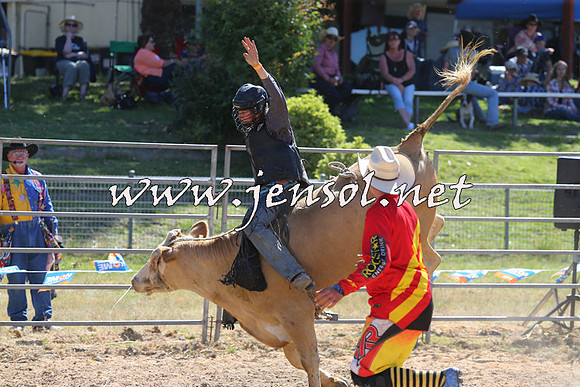 MossVale2015_2247