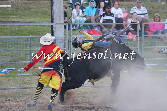MossVale2015_2837