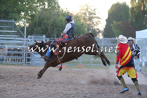 MossVale2015_2972