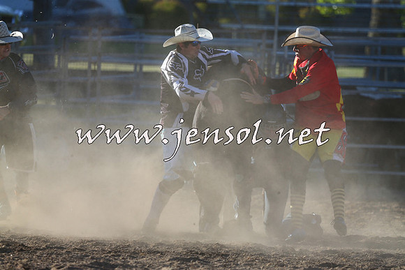 MossVale2015_2598