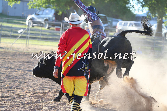 MossVale2015_2648