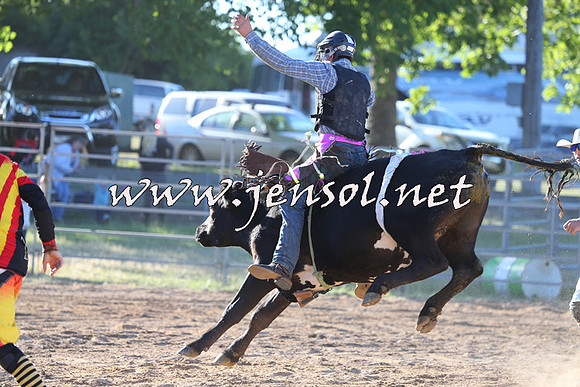 MossVale2015_2417