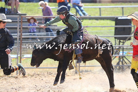 MossVale2015_2184