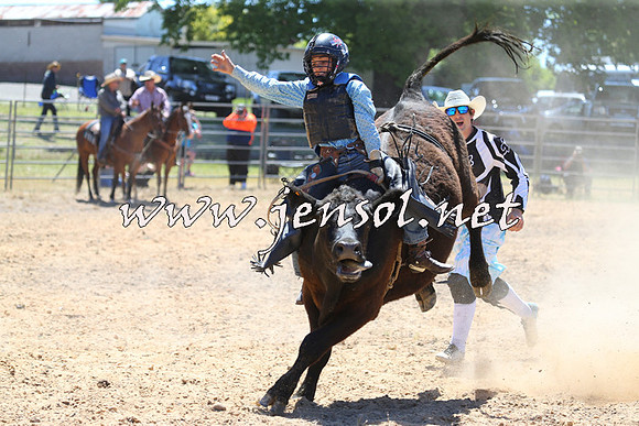 MossVale2015_2067-1