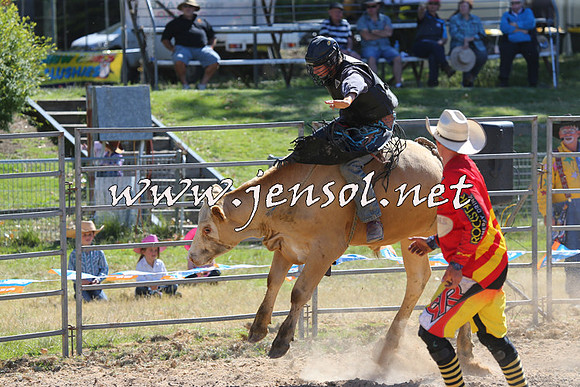 MossVale2015_2244