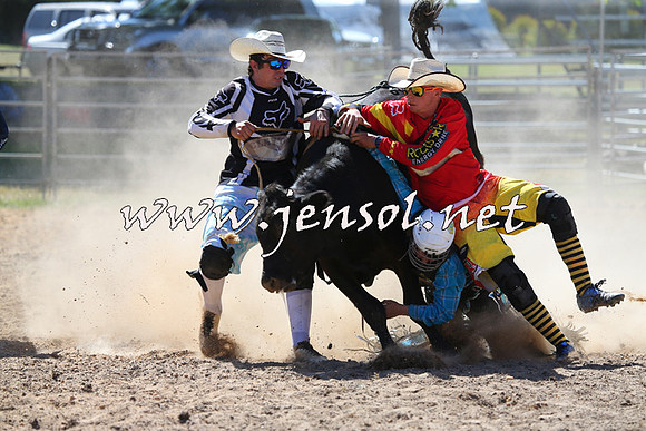 MossVale2015_2235