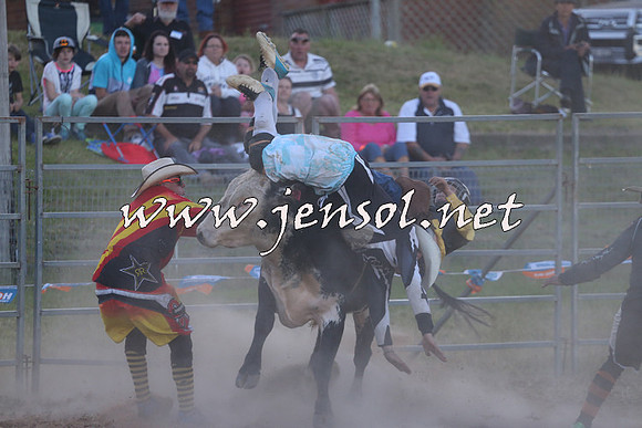 MossVale2015_2828