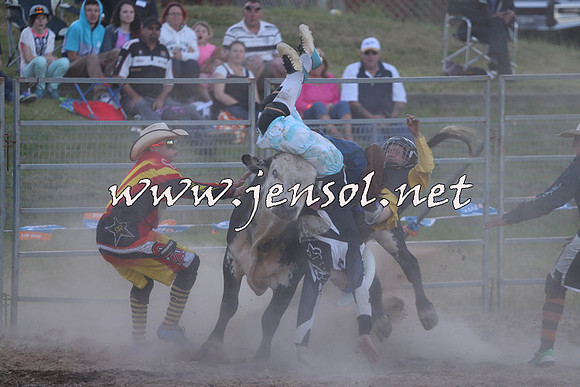 MossVale2015_2831