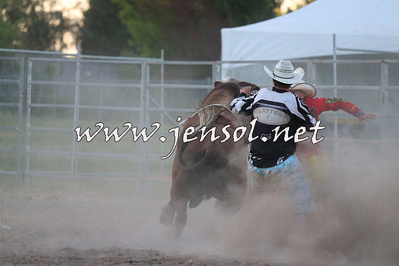 MossVale2015_2998