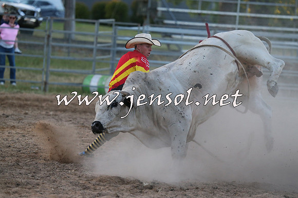 MossVale2015_2927