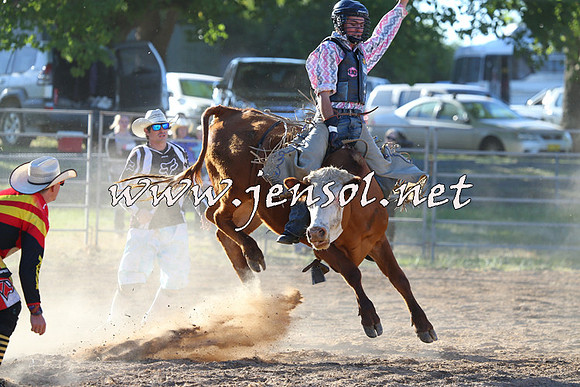 MossVale2015_2428