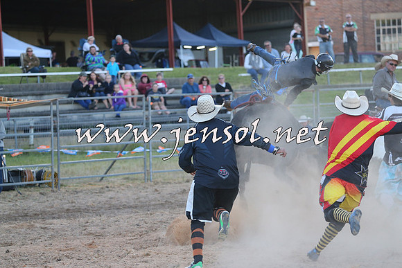 MossVale2015_2810