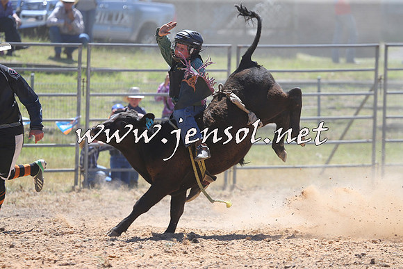 MossVale2015_2181