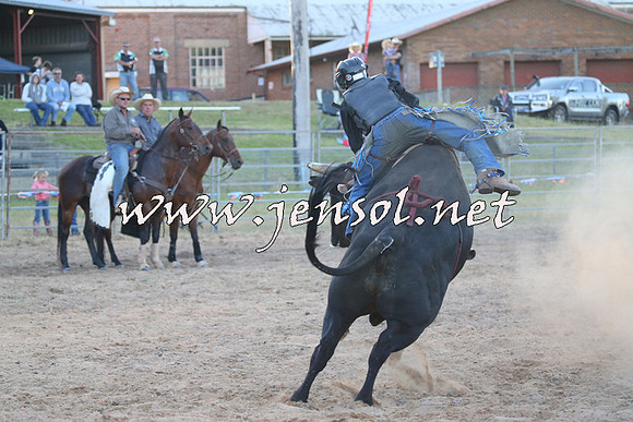 MossVale2015_2797