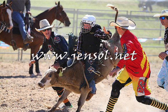 MossVale2015_2201