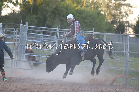 MossVale2015_2907