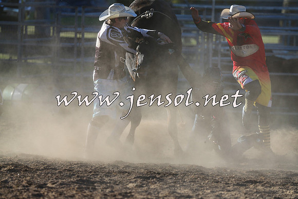 MossVale2015_2612