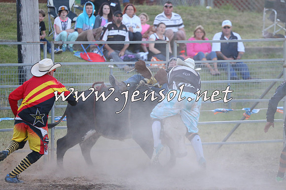 MossVale2015_2840