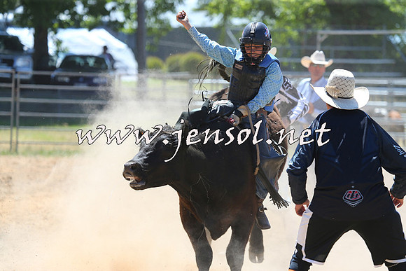 MossVale2015_2062-1
