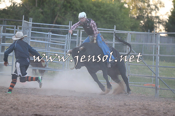 MossVale2015_2911
