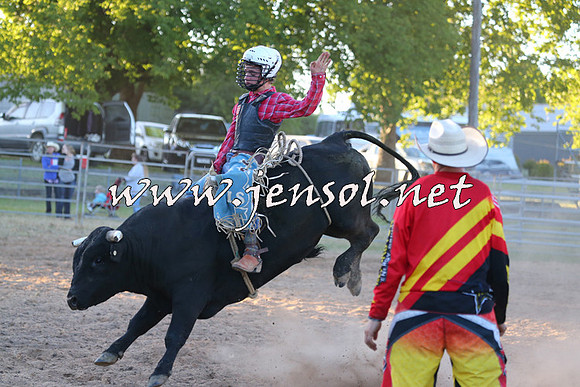 MossVale2015_2785