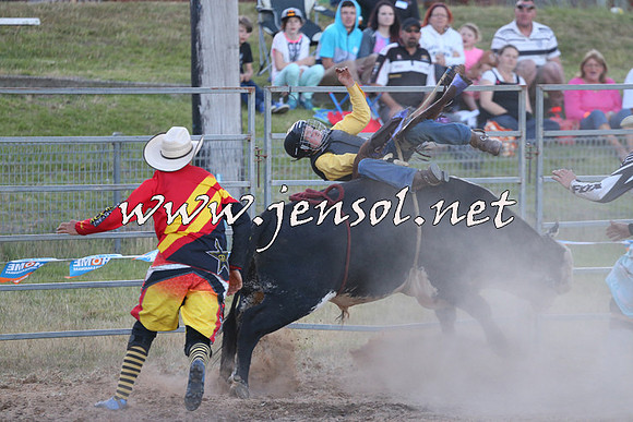 MossVale2015_2838