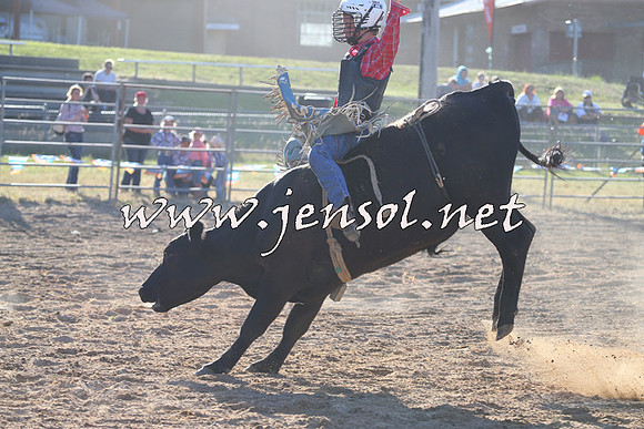 MossVale2015_2483