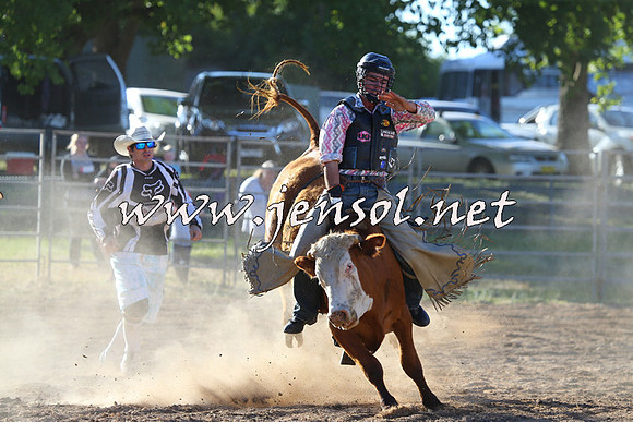 MossVale2015_2427