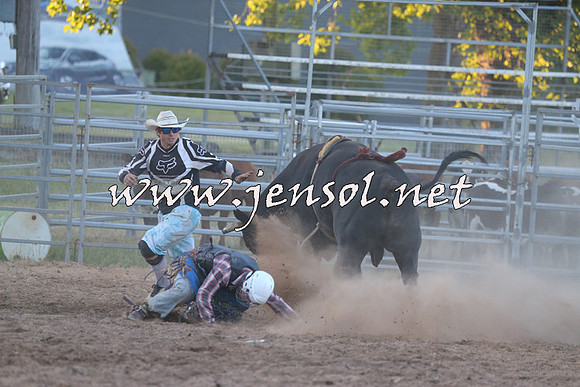 MossVale2015_2913
