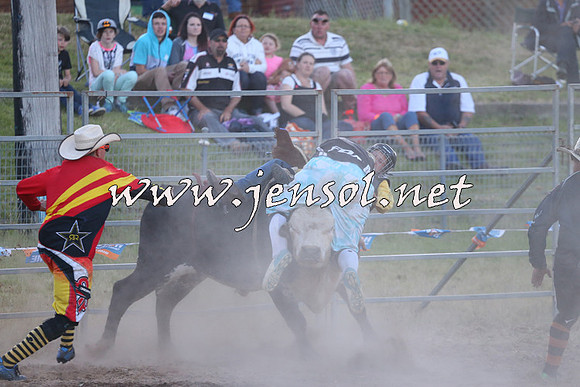 MossVale2015_2841