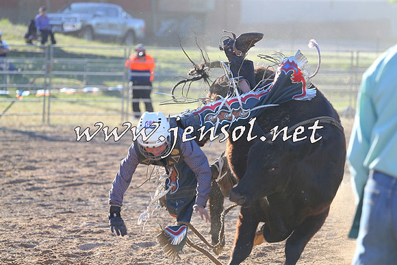 MossVale2015_2510