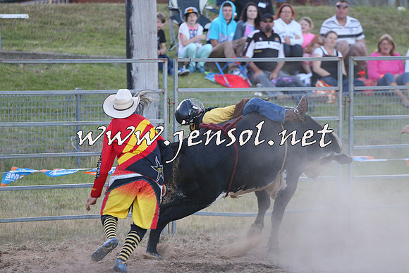 MossVale2015_2827