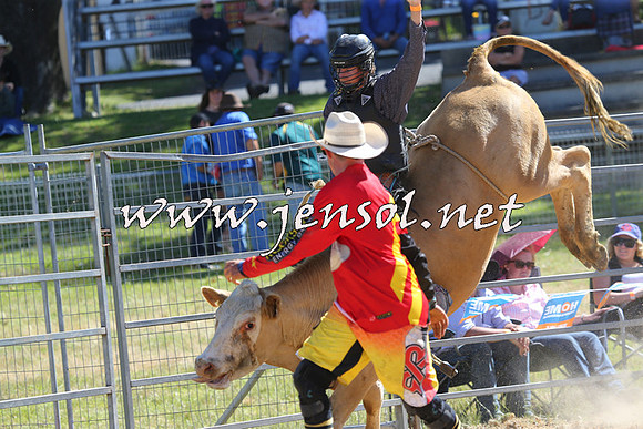 MossVale2015_2253