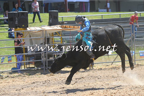 MossVale2015_2159
