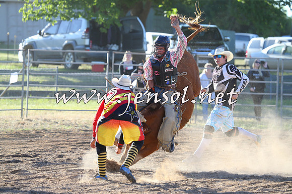 MossVale2015_2423