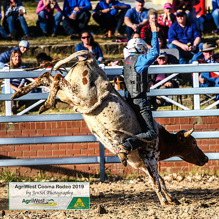 CoomaRodeo2019_0626