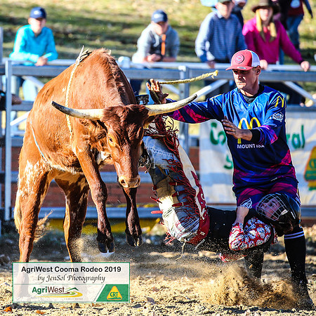 CoomaRodeo2019_0577
