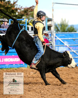 BraidwoodRodeo2019_0219