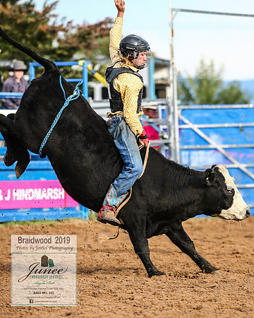 BraidwoodRodeo2019_0219