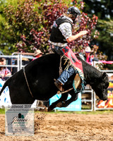 BraidwoodRodeo2019_1208
