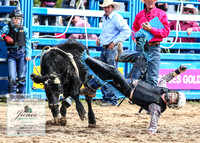 BraidwoodRodeo2019_1540