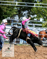 BraidwoodRodeo2019_0425