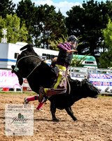 BraidwoodRodeo2019_1159