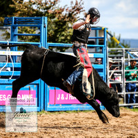 BraidwoodRodeo2019_1203
