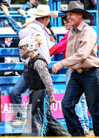 BraidwoodRodeo2019_1543