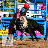 BraidwoodRodeo2019_0500