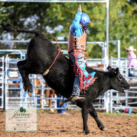 BraidwoodRodeo2019_0210