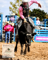BraidwoodRodeo2019_1143